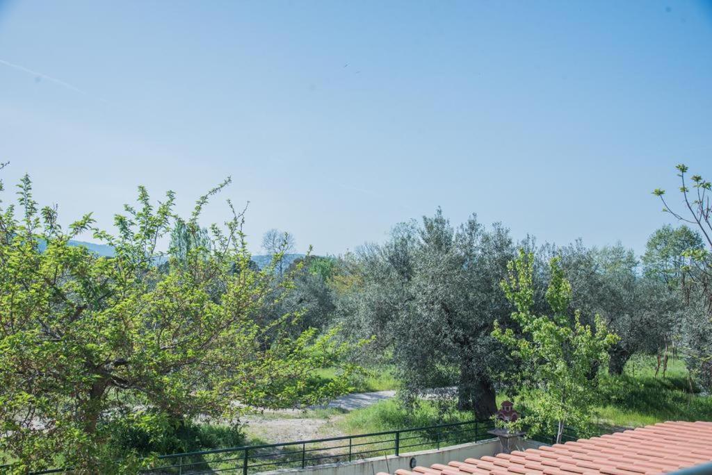 Diogenis Villa Vourvourou Dış mekan fotoğraf