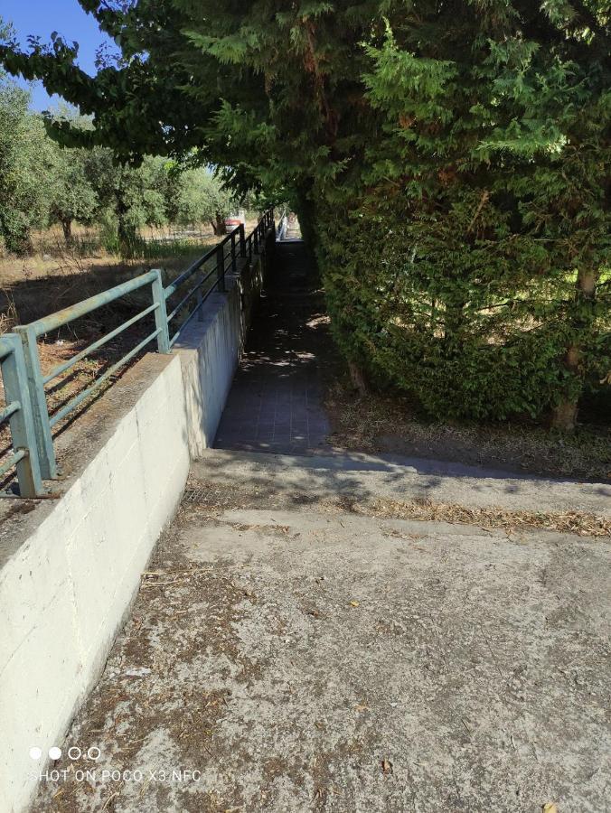 Diogenis Villa Vourvourou Dış mekan fotoğraf