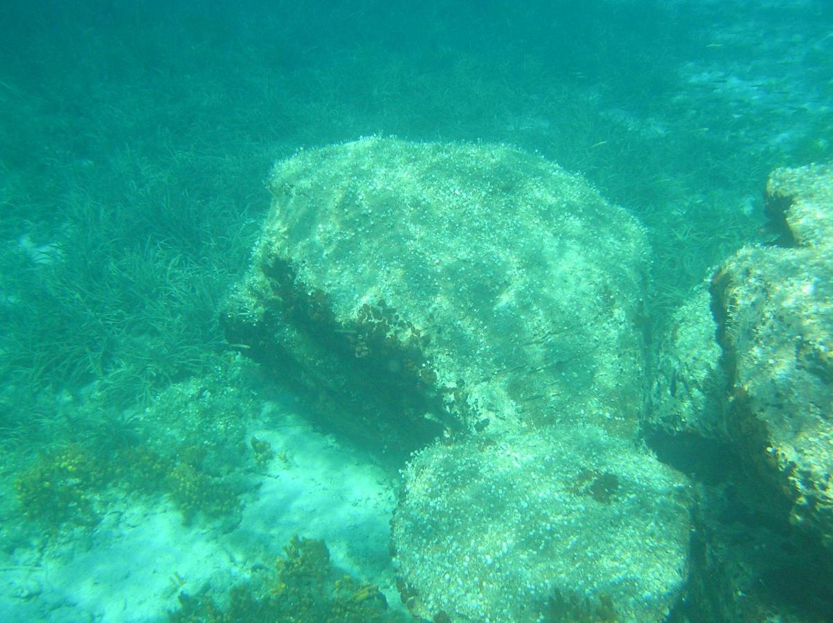 Diogenis Villa Vourvourou Dış mekan fotoğraf