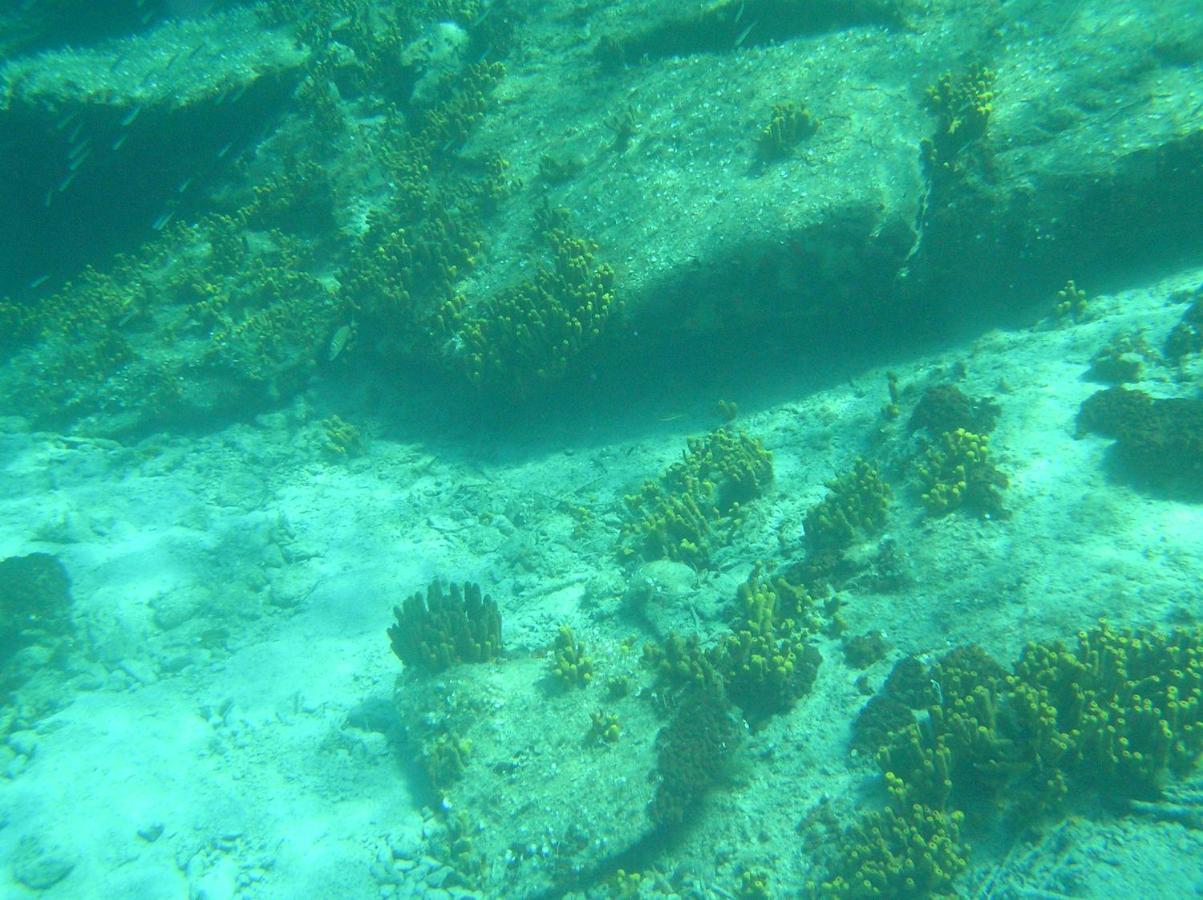 Diogenis Villa Vourvourou Dış mekan fotoğraf