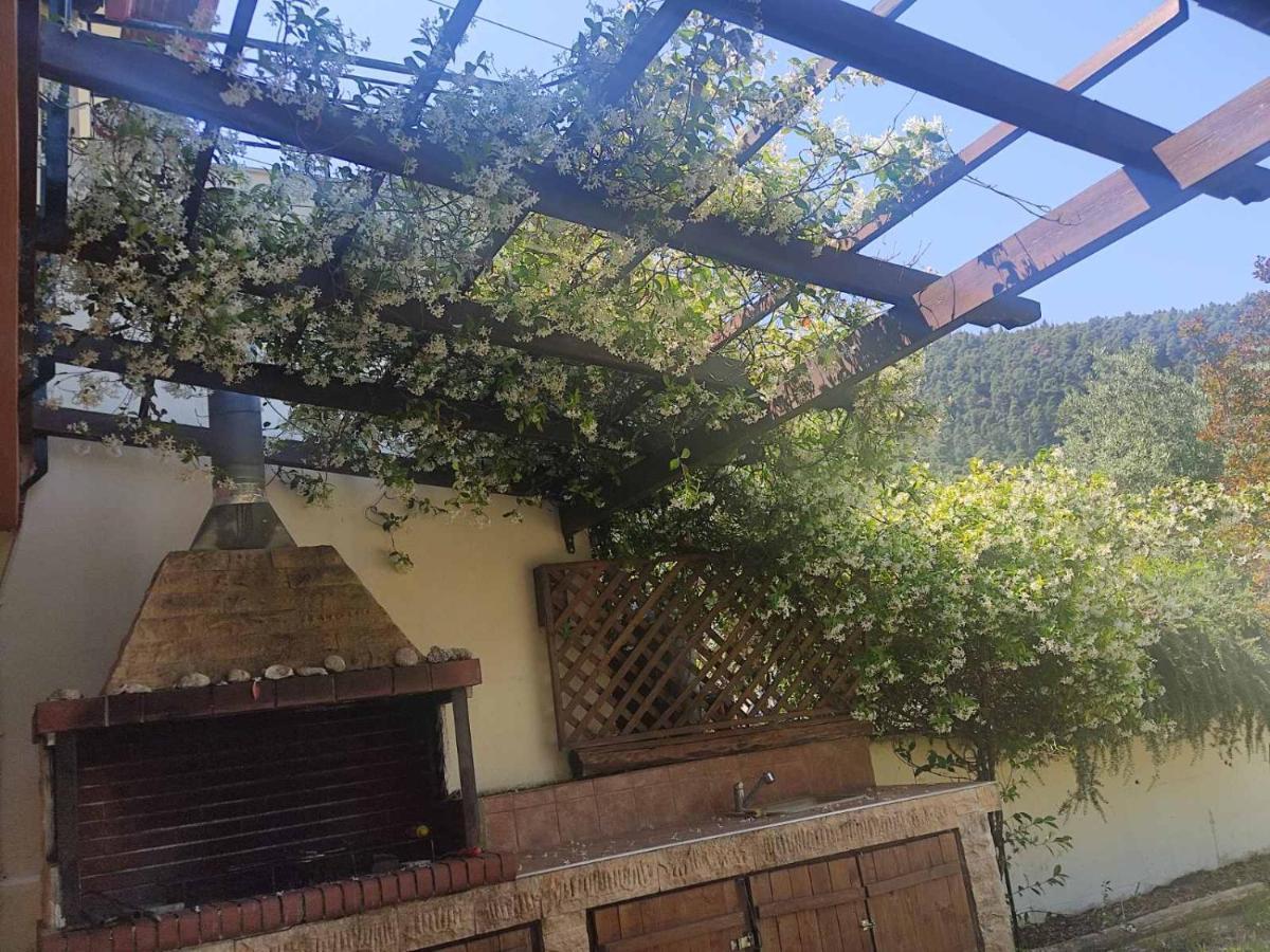 Diogenis Villa Vourvourou Dış mekan fotoğraf